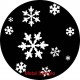 E500 snowflakes E500 snowflakes