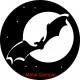 E602-Bat in Moon E602-Bat in Moon