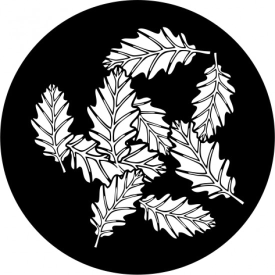 F144 Oak Leaves (Glass)