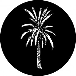 F159 Palm Tree2 (Glass)
